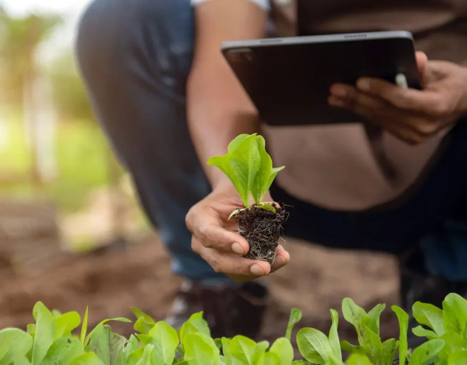 SRA16 – Conservazione agro biodiversità – banche germoplasma