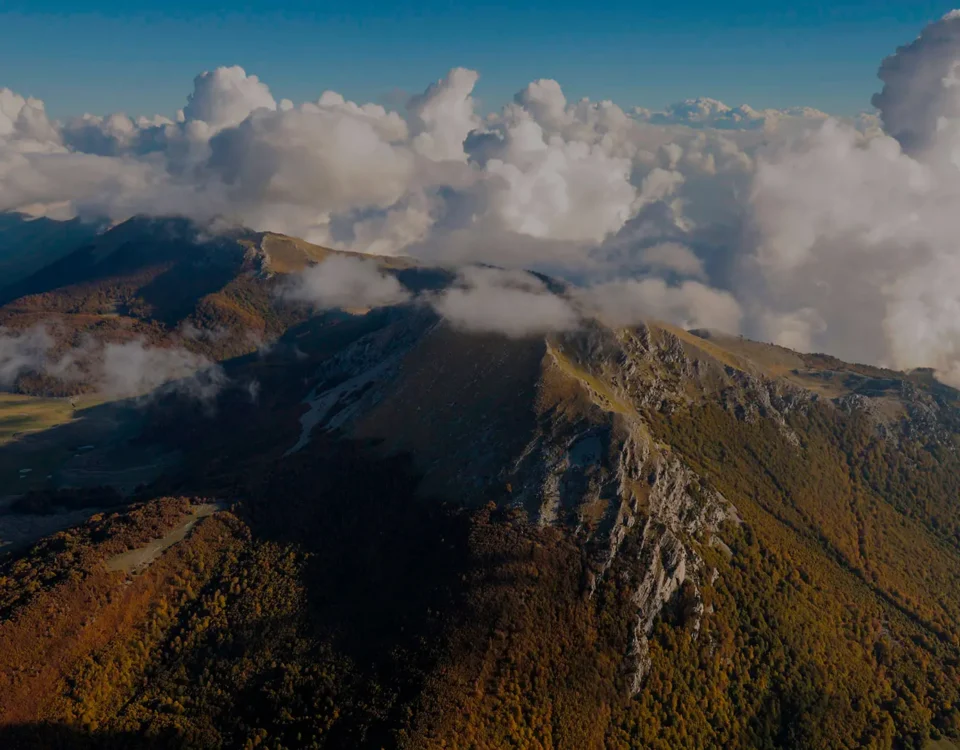 SRB01 - Sostegno zone con svantaggi naturali montagna