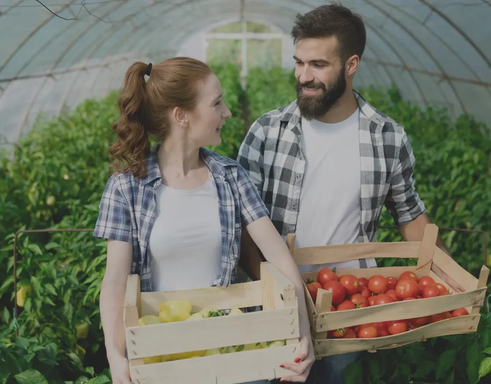 SRE01 - Insediamento giovani agricoltori