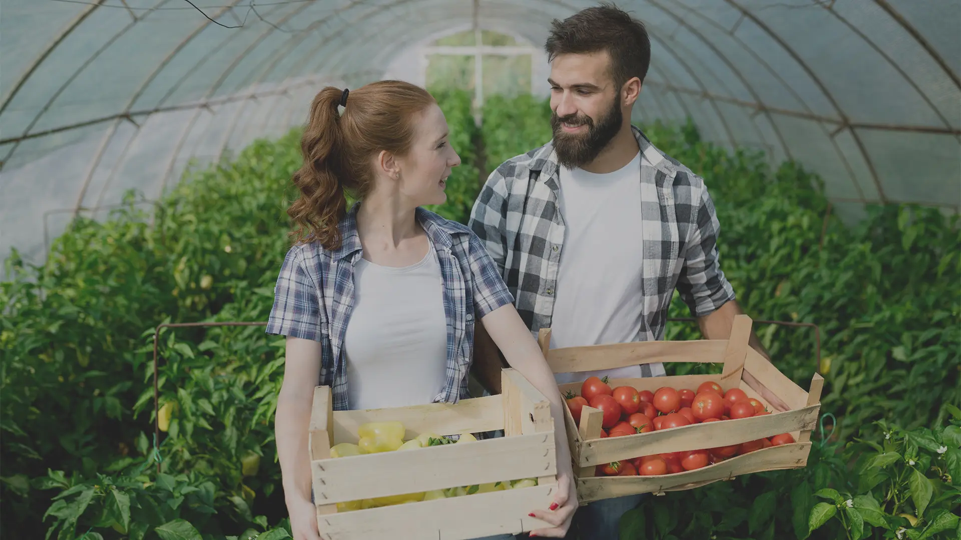 SRE01 - Insediamento giovani agricoltori