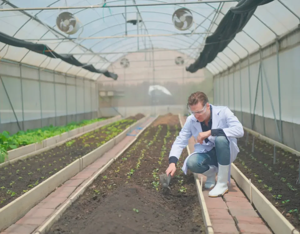 Sostegno gruppi operativi PEI AGRI