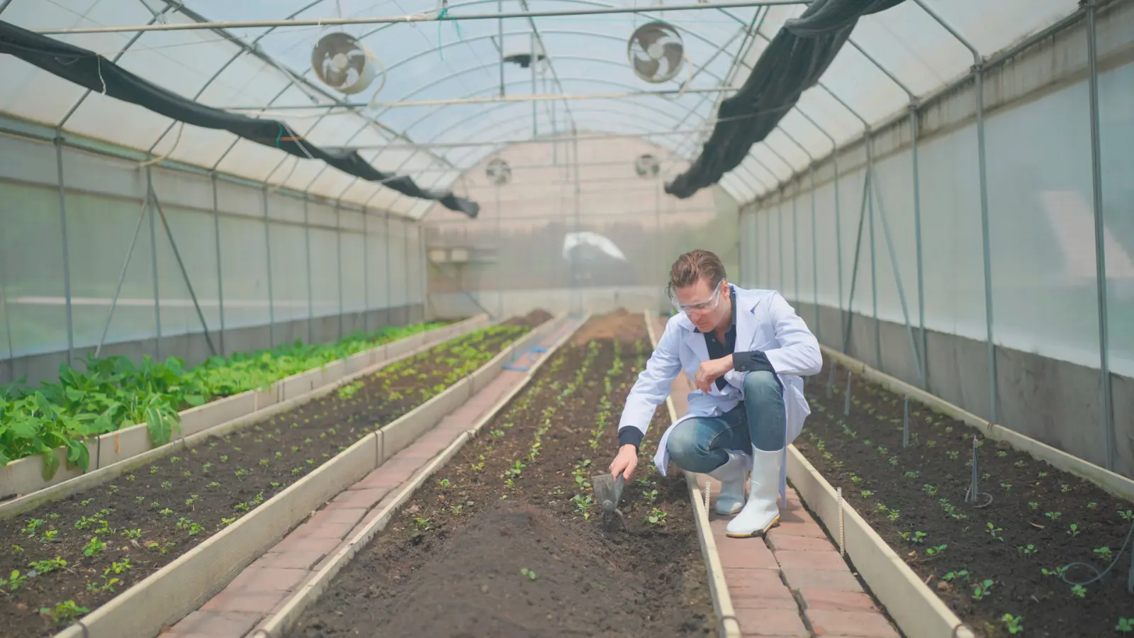 Sostegno gruppi operativi PEI AGRI