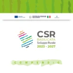 Copertina Compendio csr