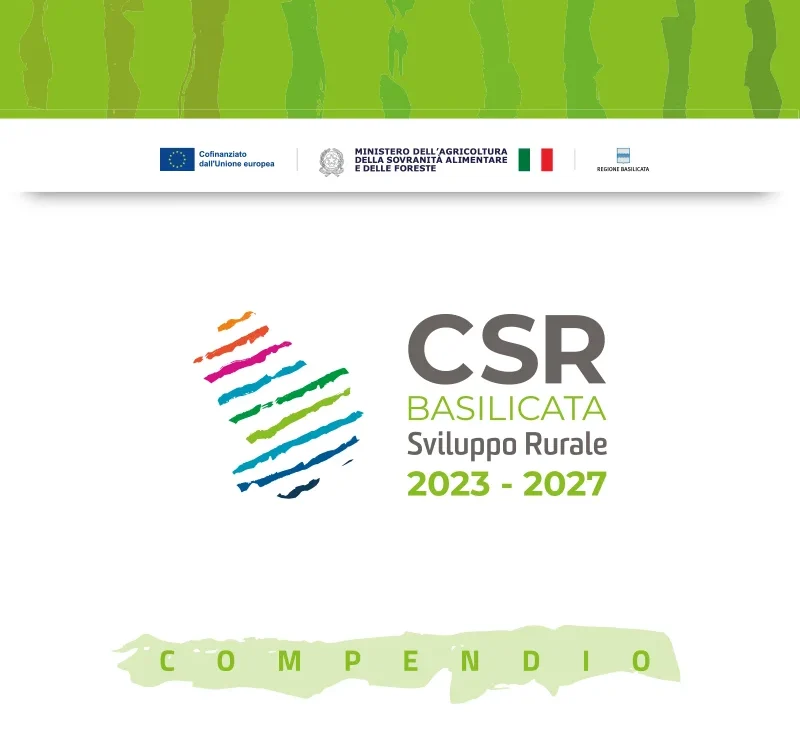 Copertina Compendio csr