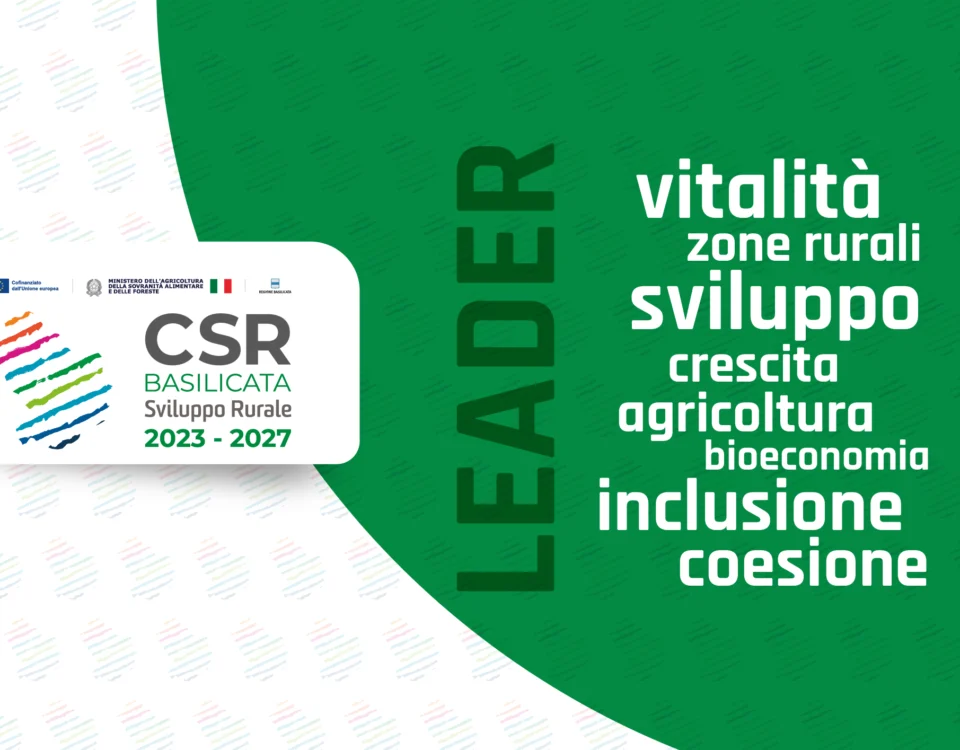 SRG06 LEADER – Attuazione strategie di Sviluppo locale