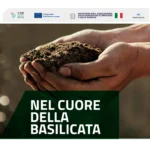 Copertina - Nel cuore della Basilicata