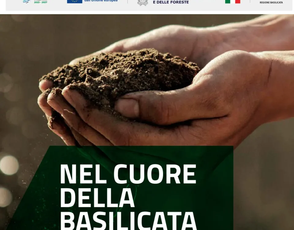 Copertina - Nel cuore della Basilicata