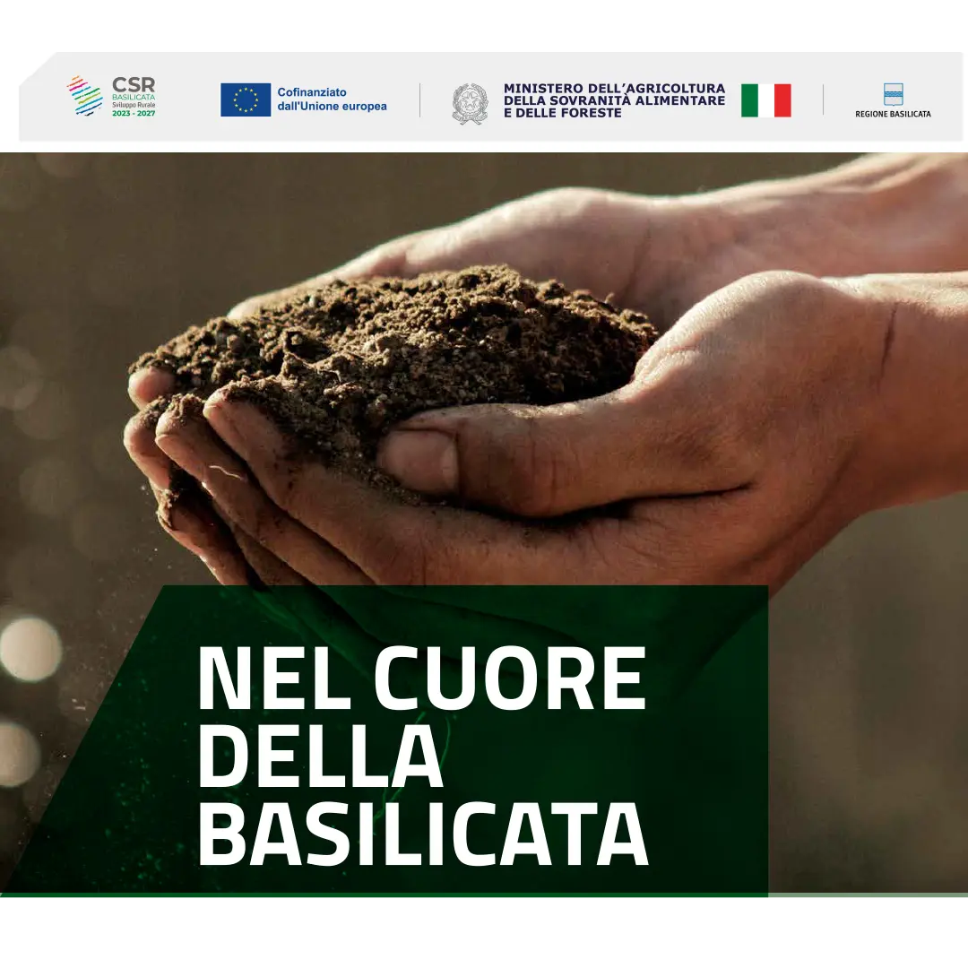 Copertina - Nel cuore della Basilicata