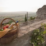 SRE04 - Start up non agricole