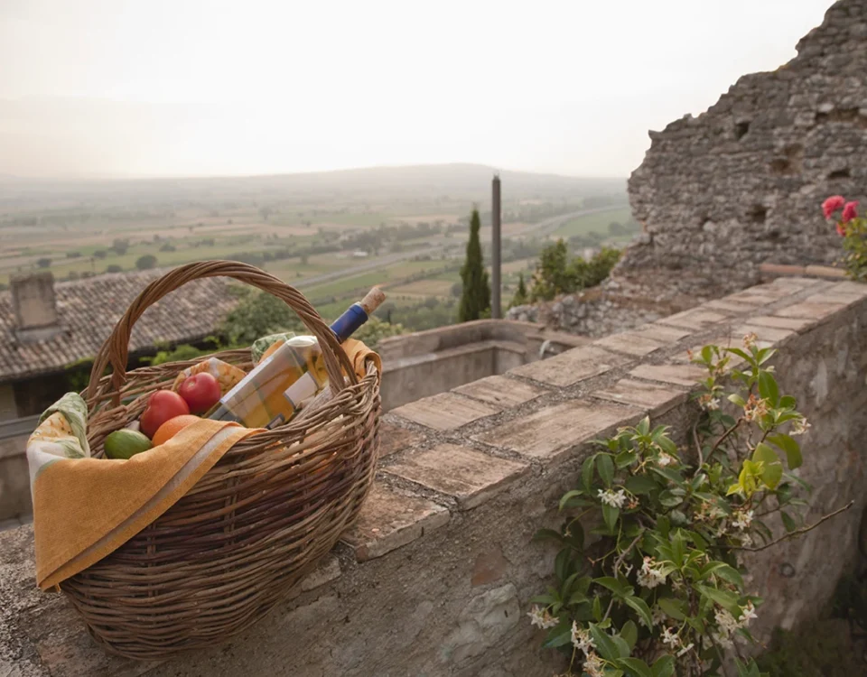 SRE04 - Start up non agricole