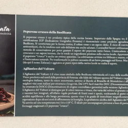 ICE_Conference_2024_Romae_04 La Basilicata all'Ice Conference 2024 - Romae