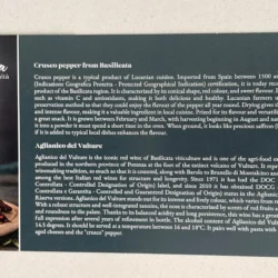 ICE_Conference_2024_Romae_05 La Basilicata all'Ice Conference 2024 - Romae